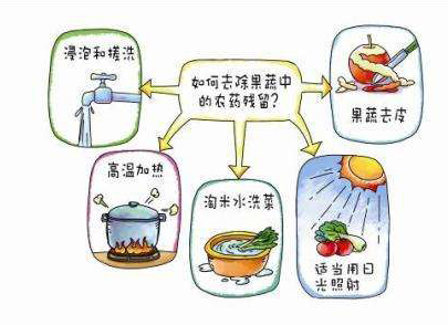 如何減少農(nóng)藥污染去除農(nóng)藥殘留？振華化工總結(jié)以下幾點(diǎn)分享給大家